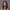 Headshot of Naoko Keatley against a grey background