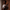 Portrait of a violist standing indoors beside a column and curtain, holding a viola across the body. Warm light from the side illuminates the instrument's polished wood and the musician's light-coloured shirt against a softly draped background.